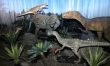 Dinozaury na żywo - zdjęcia z wystawy  - Zdjęcie nr 7