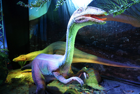 Dinozaury na żywo - zdjęcia z wystawy  - Zdjęcie nr 5