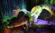 Dinozaury na żywo - zdjęcia z wystawy  - Zdjęcie nr 2