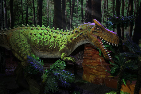 Dinozaury na żywo - zdjęcia z wystawy  - Zdjęcie nr 1