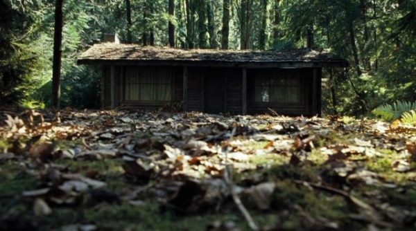 Dom w głębi lasu  - Zdjęcie nr 10