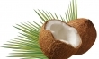 Masło kokosowe