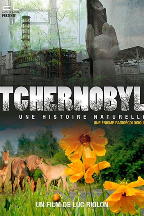 Charnobyl (2010)