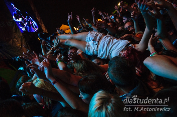 Franz Ferdinand na Coke Live Music Festival 2013  - Zdjęcie nr 10