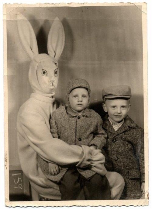 Przerażające Króliczki Wielkanocne  - Zdjęcie nr 15