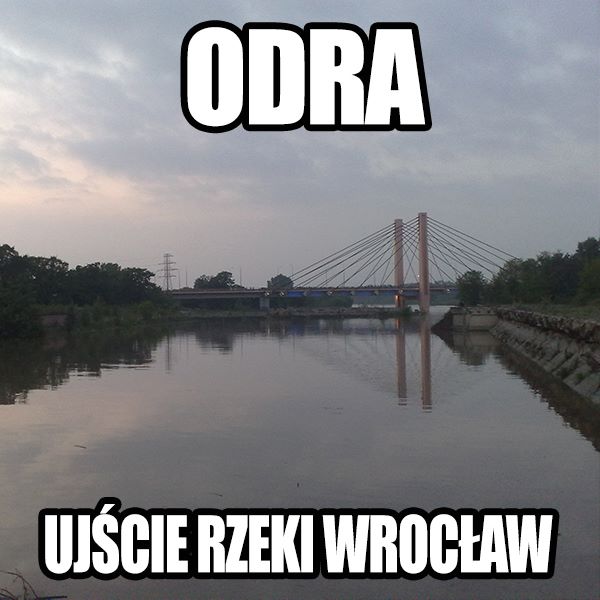Memy o zalanym Wrocławiu  - Zdjęcie nr 5