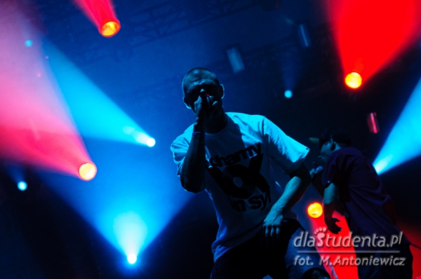 Bisz na  Coke Live Music Festival 2013  - Zdjęcie nr 10