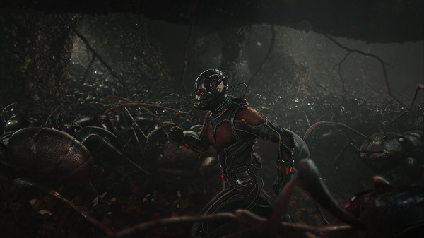 Ant-Man  - Zdjęcie nr 2