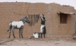 Banksy - artysta niepokorny  - Zdjęcie nr 31