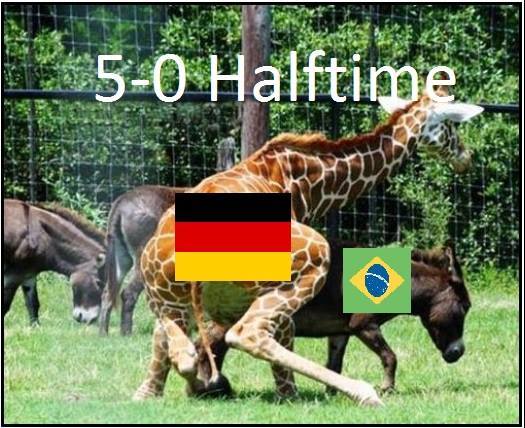 Brazylia - Niemcy 7:1 [MEMY]  - Zdjęcie nr 26
