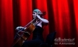Katie Melua  w Poznaniu  - Zdjęcie nr 6