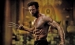 14. Wolverine - 414 828 246 dolarów