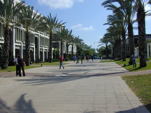 19. Tel Aviv University (Izrael)