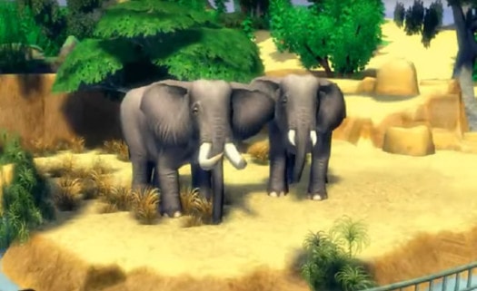 Zoo Tycoon - gry ze zwierzętami