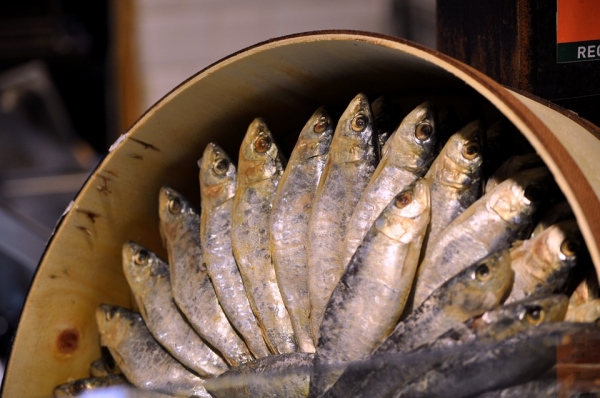 Ryby są bogate w kwasy tłuszczowe omega-3
