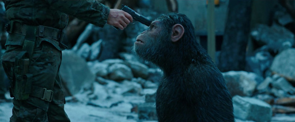 Wojna o planetę małp - zdjęcia z filmu  - Zdjęcie nr 10