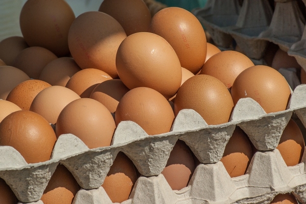 Jajka - bogate w cholinę i antyoksydanty