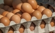 Jajka - bogate w cholinę i antyoksydanty