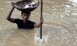 Podczas olbrzymiej powodzi w indyjskiej miejscowości Cuttack City pewien mężczyzna uratował wiele kotów przenosząc je na własnej głowie