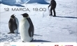 Antarktyda: Rok na lodzie - polski plakat