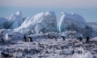 Antarktyda: Rok na lodzie  - Zdjęcie nr 15