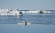 Antarktyda: Rok na lodzie  - Zdjęcie nr 25