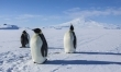 Antarktyda: Rok na lodzie  - Zdjęcie nr 27