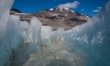 Antarktyda: Rok na lodzie  - Zdjęcie nr 34