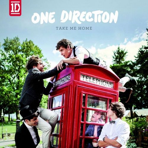 17. One Direction - Take Me Home