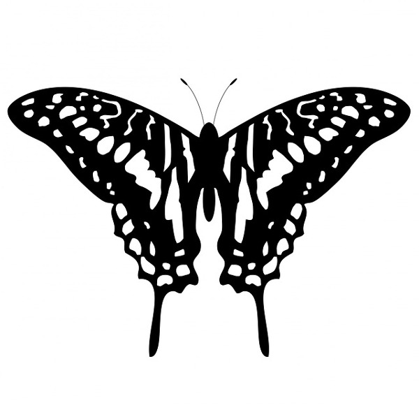 Motyl - wzory damskich tatuaży