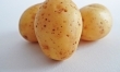 Okłady z ciepłych ziemniaków