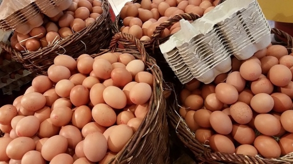 14 października - Światowy Dzień Jaja