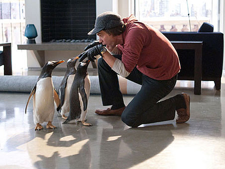 Pan Popper i jego pingwiny  - Zdjęcie nr 3