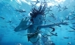 Avatar: Istota wody - zdjęcia z filmu  - Zdjęcie nr 5