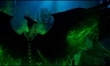 Maleficent: Mistress of Evil - zdjęcia z filmu  - Zdjęcie nr 6