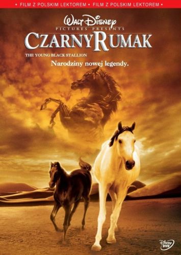 16. Czarny rumak (2003)