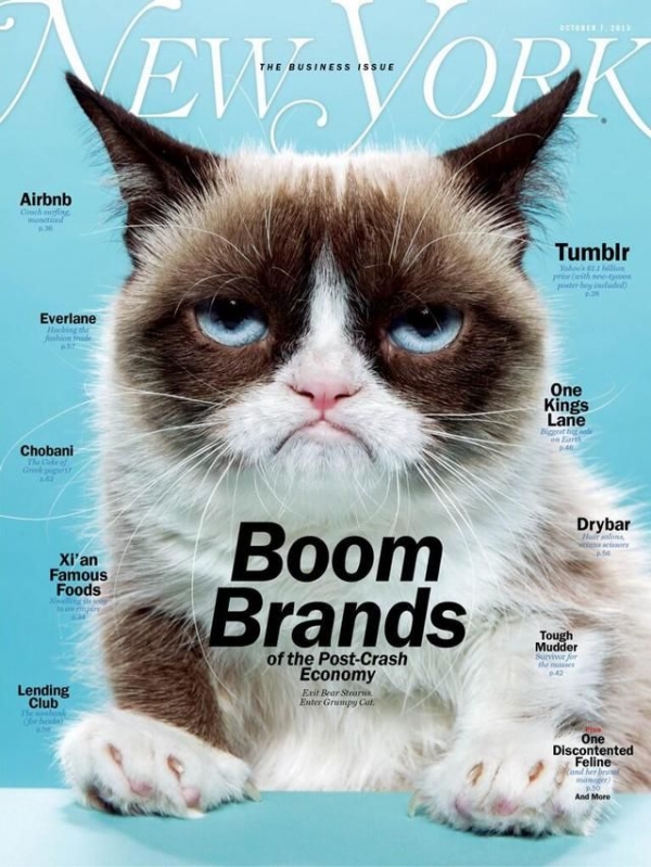 Grumpy Cat, najpopularniejsze zwierzę w Internecie