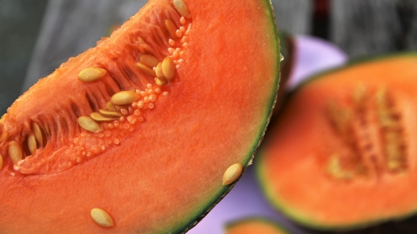 Melon - witaminowa zagadka
