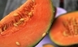 Melon - witaminowa zagadka