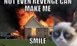 Memy ze śmiesznymi kotami  - Zdjęcie nr 11
