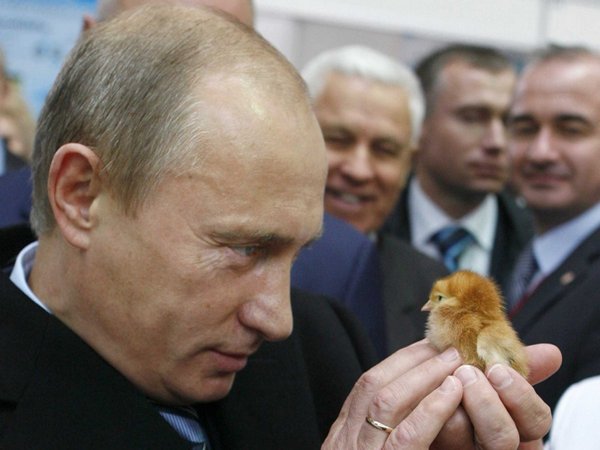 Najlepsze zdjęcia Władimira Putina  - Zdjęcie nr 1