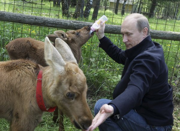 Najlepsze zdjęcia Władimira Putina  - Zdjęcie nr 19