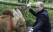Najlepsze zdjęcia Władimira Putina  - Zdjęcie nr 19