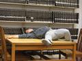 IKEA i jej stoły - najwygodniejsze łóżka studenckie