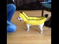 JestĘ bananem !
