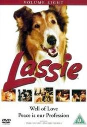 6/6a/lassie-6ac05aaf4a29f70604d62b2c38e5e3d6.jpg