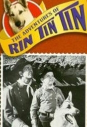 Przygody Rin Tin Tina