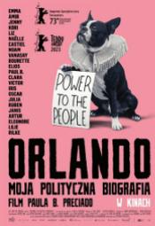 Orlando - moja polityczna biografia 