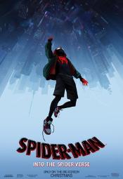 spiderman-uniwersum2c3ca71047462b5044887921c524cdda.jpg