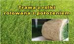 Ogłoszenie - Trawa z rolki, rolowana z położeniem - Kielce
